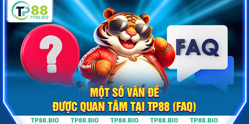 Một số vấn đề được quan tâm xoay quanh Tỷ Phú 88